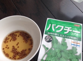 ショップ画像