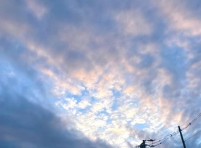 ショップ画像