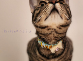 ショップ画像