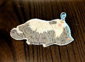 ショップ画像