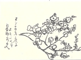 ショップ画像