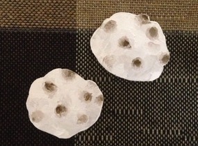 ショップ画像