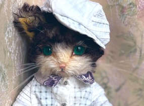 ショップ画像