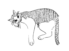 ショップ画像