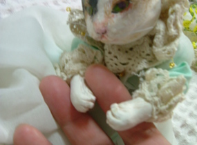 ショップ画像