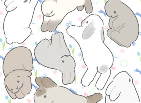 ショップ画像
