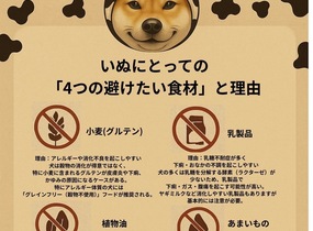 ショップ画像
