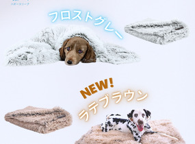 ショップ画像