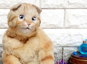 ショップ画像