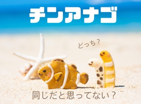 ショップ画像