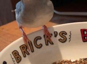 ショップ画像