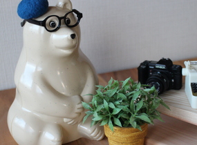ショップ画像