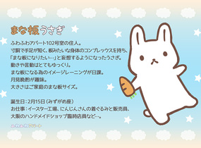 ショップ画像