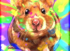ショップ画像
