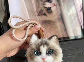 ショップ画像