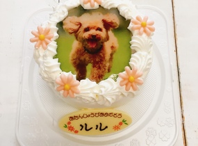 ショップ画像
