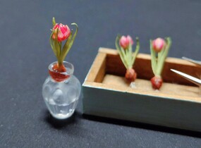 ショップ画像