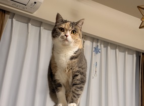 ショップ画像