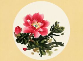 ショップ画像