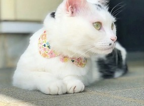 ショップ画像