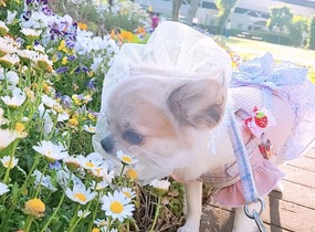 ショップ画像