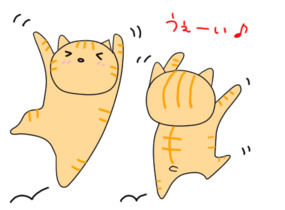 ショップ画像