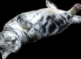ショップ画像