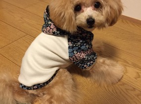 ショップ画像