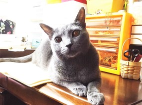 ショップ画像