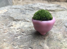 ショップ画像