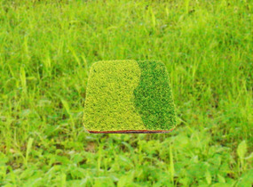 ショップ画像