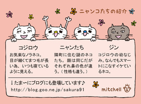 ショップ画像