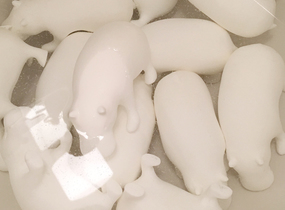 ショップ画像