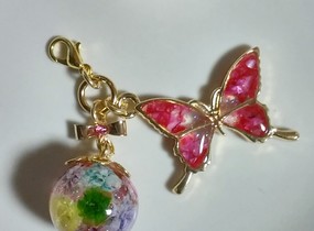 ショップ画像