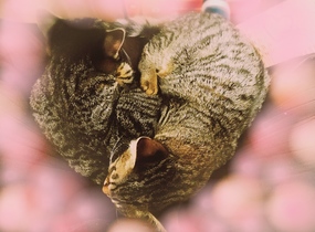 ショップ画像