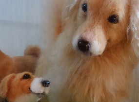 ショップ画像