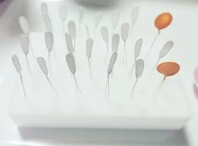ショップ画像