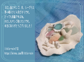 ショップ画像