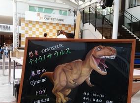 ショップ画像