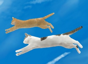 ショップ画像