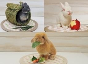ショップ画像