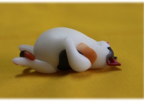 ショップ画像