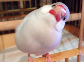 ショップ画像
