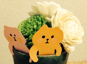 ショップ画像
