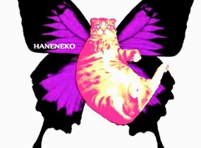 ショップ画像