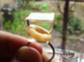 ショップ画像