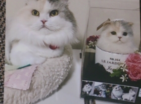 ショップ画像