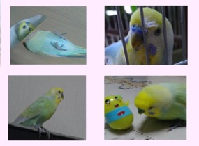 ショップ画像