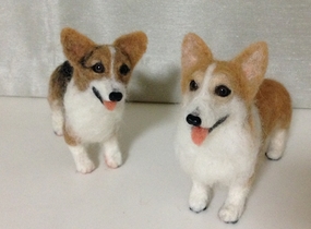 ショップ画像