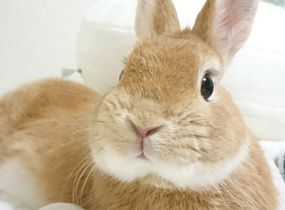 ショップ画像